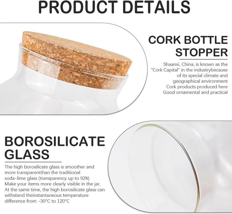 DOERDO DD DOERDO Clear Glass Jar with Lid, Airtight Food Storage Containers for Canning, Cereal, Sugar, Beans, Spice, Coffee, Tea, 34oz/1000ml - Image 3